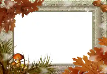 Foto effect van de categorie Herfst № 59045 Foto effect van de categorie Herfst № 59045