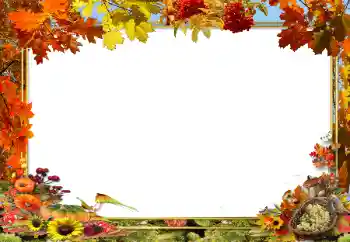 Foto effect van de categorie Herfst № 62654 Foto effect van de categorie Herfst № 62654