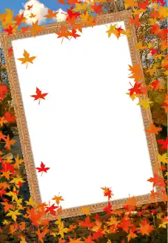 Foto effect van de categorie Herfst № 68614 Foto effect van de categorie Herfst № 68614