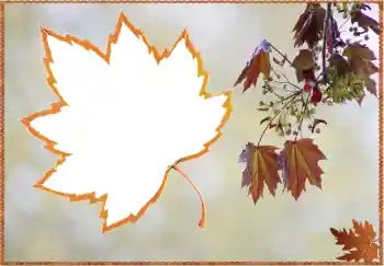 Foto effect van de categorie Herfst № 80359 Foto effect van de categorie Herfst № 80359