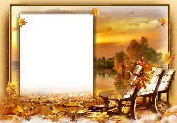 Foto effect van de categorie Herfst № 81678 Foto effect van de categorie Herfst № 81678