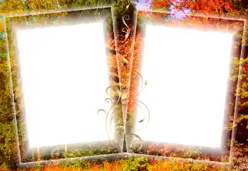 Foto effect van de categorie Herfst № 84128