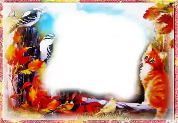 Foto effect van de categorie Herfst № 86557