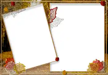 Foto effect van de categorie Herfst № 9719