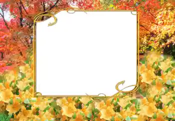 Foto effect van de categorie Herfst № 9797 Foto effect van de categorie Herfst № 9797