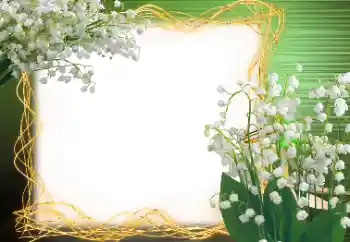 Foto effect van de categorie Lente № 113120 Foto effect van de categorie Lente № 113120