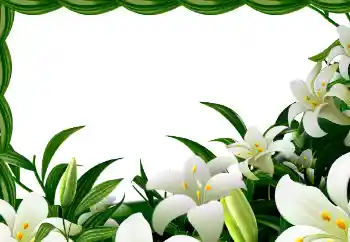 Foto effect van de categorie Lente № 113129