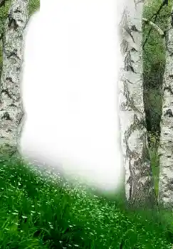 Foto effect van de categorie Lente № 149305 Foto effect van de categorie Lente № 149305