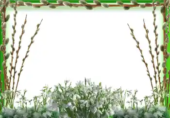 Foto effect van de categorie Lente № 197647 Foto effect van de categorie Lente № 197647