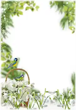 Foto effect van de categorie Lente № 205355