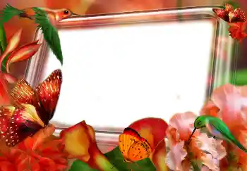 Foto effect van de categorie Lente № 4610