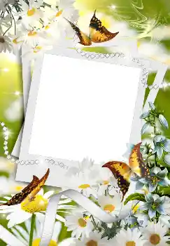 Foto effect van de categorie Lente № 4611