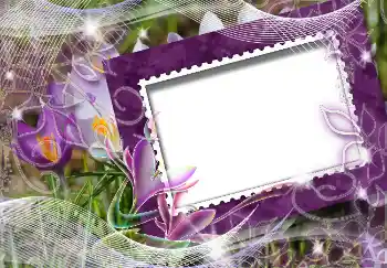 Foto effect van de categorie Lente № 4618