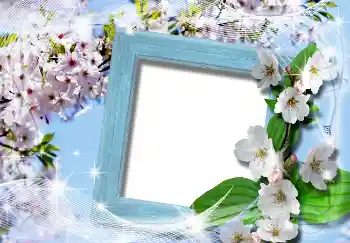 Foto effect van de categorie Lente № 4619 Foto effect van de categorie Lente № 4619