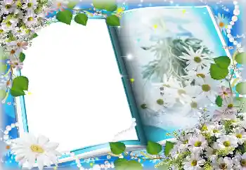 Foto effect van de categorie Lente № 4621 Foto effect van de categorie Lente № 4621