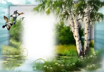 Foto effect van de categorie Lente № 49552 Foto effect van de categorie Lente № 49552