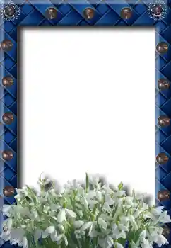 Foto effect van de categorie Lente № 8734 Foto effect van de categorie Lente № 8734