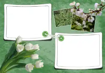 Foto effect van de categorie Lente № 93095 Foto effect van de categorie Lente № 93095