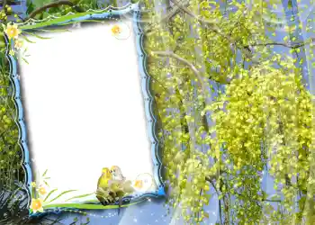Foto effect van de categorie Lente № 981