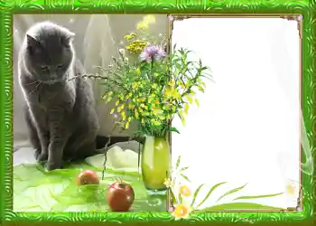 Foto effect van de categorie Lente № 982