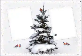 Foto effect van de categorie Winter № 105223 Foto effect van de categorie Winter № 105223