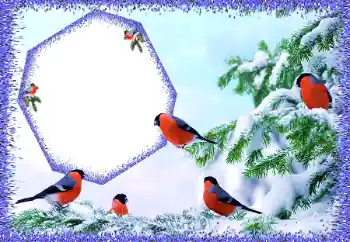 Foto effect van de categorie Winter № 105588 Foto effect van de categorie Winter № 105588