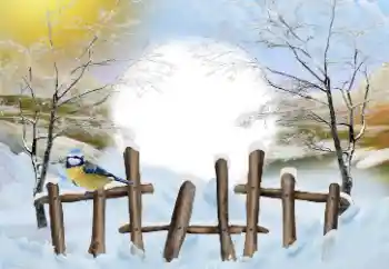 Foto effect van de categorie Winter № 110837 Foto effect van de categorie Winter № 110837