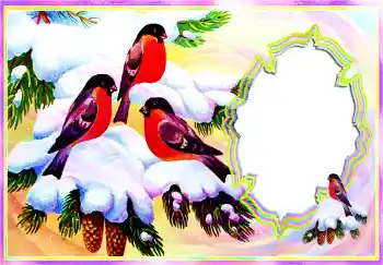 Foto effect van de categorie Winter № 112098 Foto effect van de categorie Winter № 112098