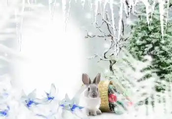 Foto effect van de categorie Winter № 128650