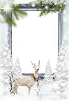 Foto effect van de categorie Winter № 128652