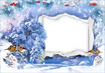 Foto effect van de categorie Winter № 128673