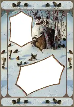 Foto effect van de categorie Winter № 151645 Foto effect van de categorie Winter № 151645