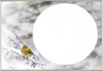 Foto effect van de categorie Winter № 163334 Foto effect van de categorie Winter № 163334
