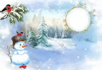 Foto effect van de categorie Winter № 176771