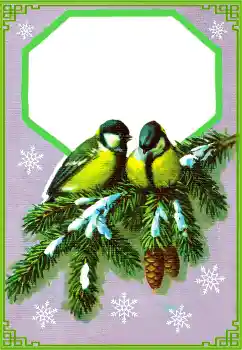 Foto effect van de categorie Winter № 177851