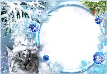 Foto effect van de categorie Winter № 178026 Foto effect van de categorie Winter № 178026