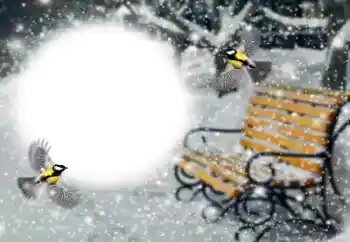 Foto effect van de categorie Winter № 191760