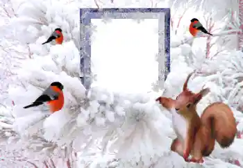 Foto effect van de categorie Winter № 194148