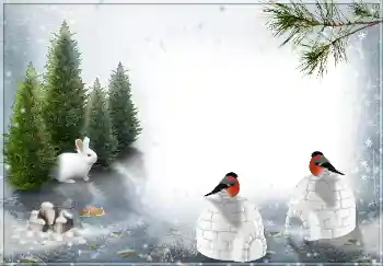 Foto effect van de categorie Winter № 3360