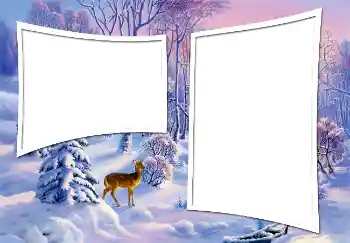 Foto effect van de categorie Winter № 3363