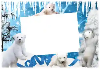 Foto effect van de categorie Winter № 3366
