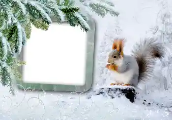 Foto effect van de categorie Winter № 3375 Foto effect van de categorie Winter № 3375