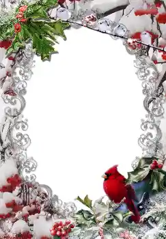 Foto effect van de categorie Winter № 3380