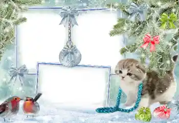 Foto effect van de categorie Winter № 38960