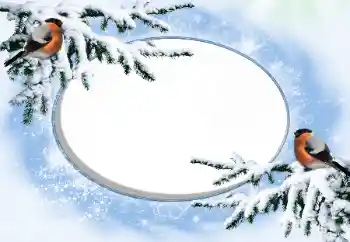 Foto effect van de categorie Winter № 42676