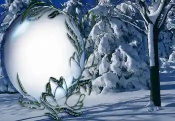 Foto effect van de categorie Winter № 5464