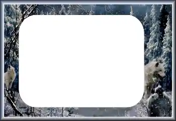 Foto effect van de categorie Winter № 60435