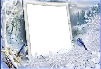 Foto effect van de categorie Winter № 60441