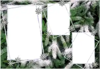 Foto effect van de categorie Winter № 64393