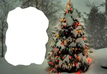 Foto effect van de categorie Winter № 65514